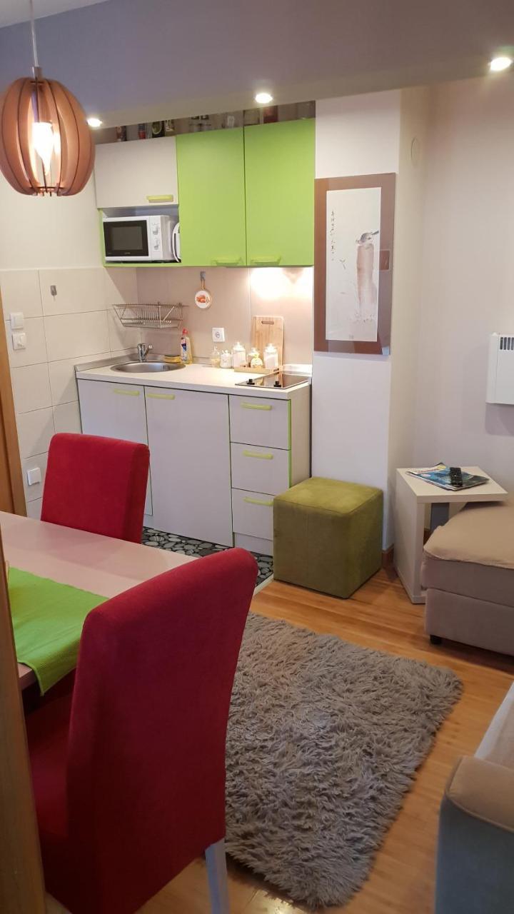 Apartman Konak 23-4 兹拉蒂博尔 外观 照片