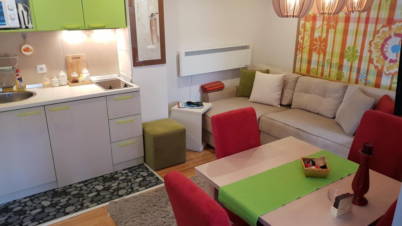 Apartman Konak 23-4 兹拉蒂博尔 外观 照片